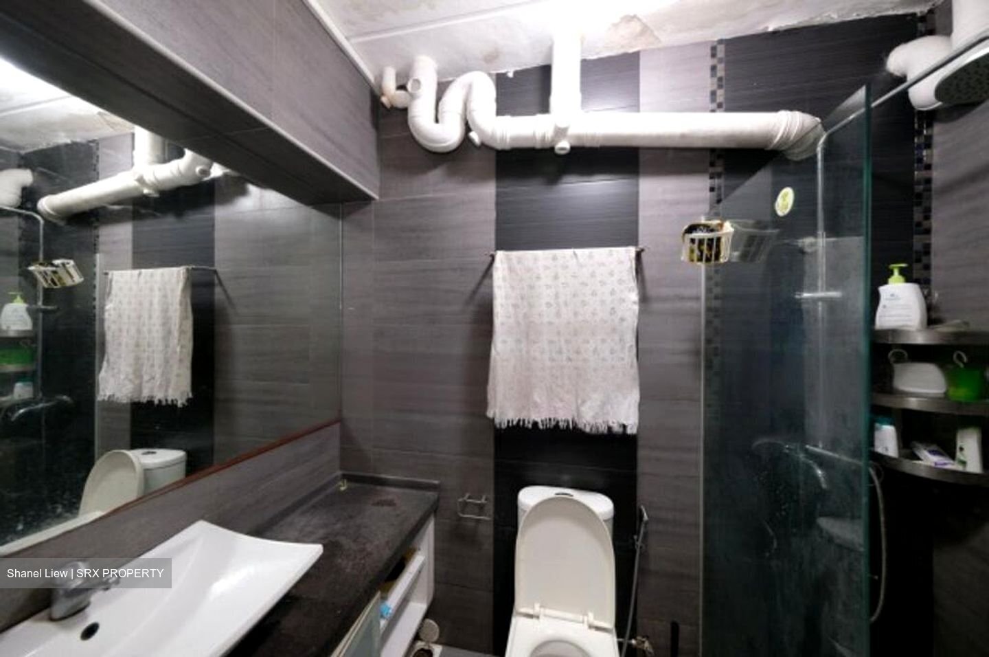 Blk 116A Rivervale Drive (Sengkang), HDB Executive #503247601